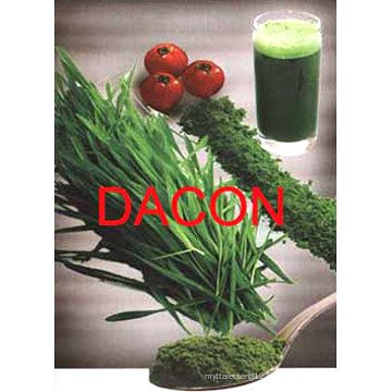 Wheat Grass Juice Powder (real manufacturer)